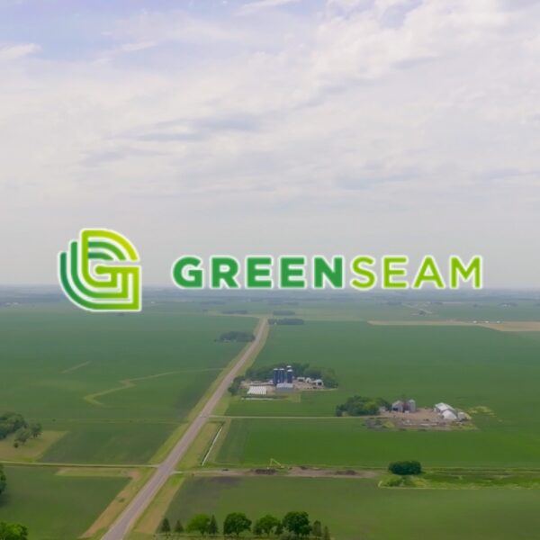 Thumbnail for client video case studies